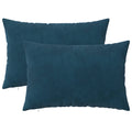 vidaXL Poszewka na poduszkę 2 pcs HEERLEN niebieski 50 x 75 cm Welur