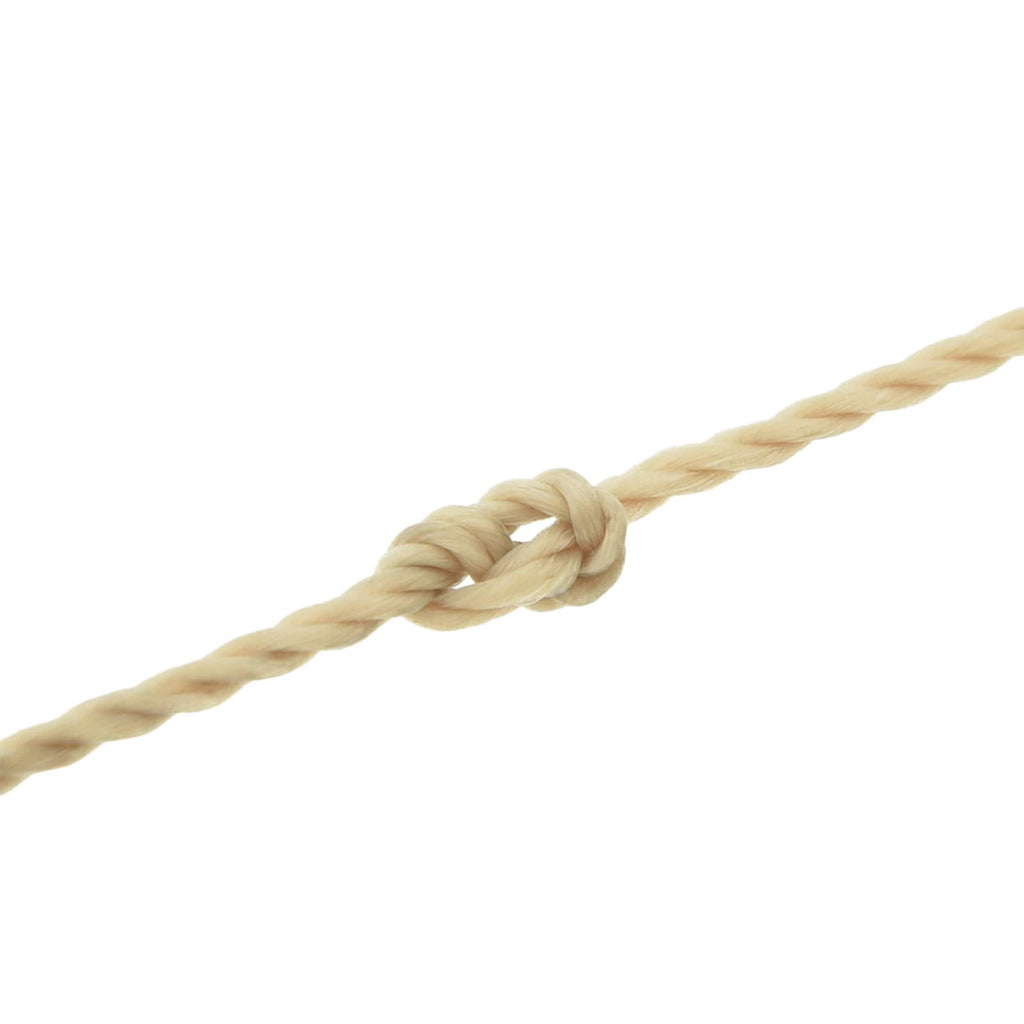 vidaXL Lina do łodzi 100 m 0.2 naturalny PP