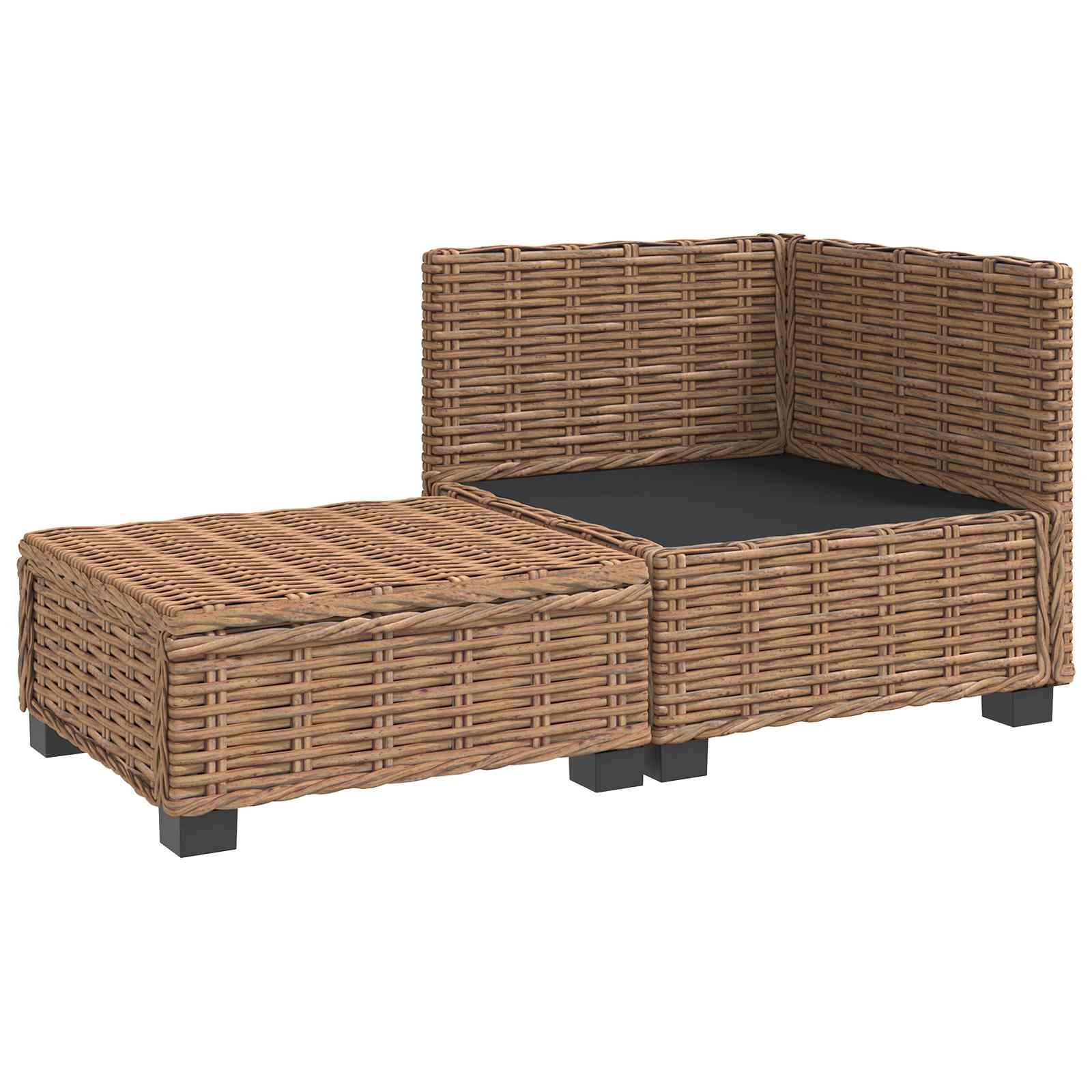 vidaXL 2 szt. Zestaw Rattanowy z Poduszkami GENDT Naturalny rattan