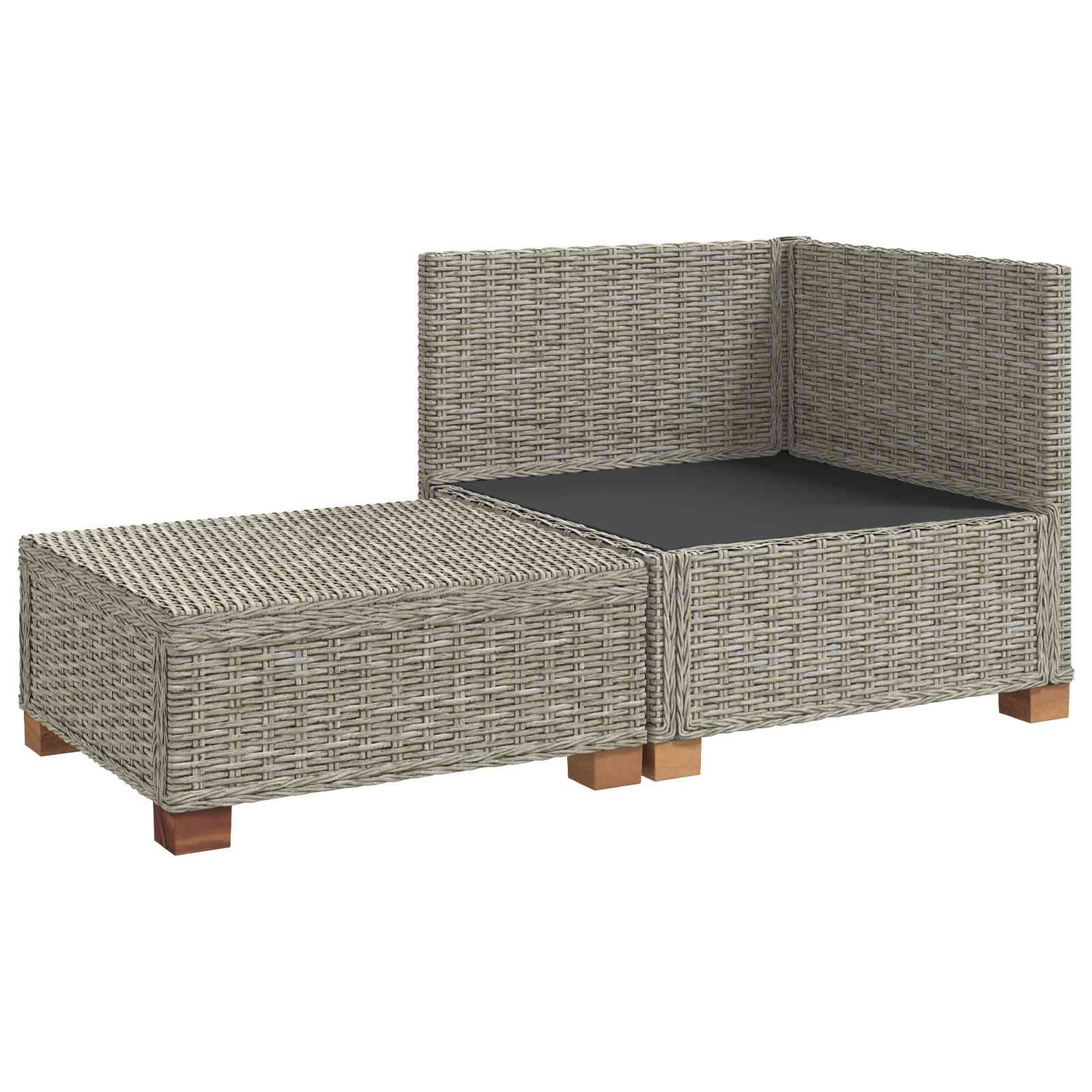 vidaXL 2 szt. Zestaw Rattanowy z Poduszkami GENDT Naturalny rattan