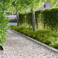 vidaXL Krawężnik do trawnika 10 pcs 100 x 15 cm Stal srebrny