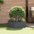 vidaXL Krawężnik do trawnika 60 x 60 x 35 cm Stal antracytowy
