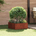 vidaXL Krawężnik do trawnika 60 x 60 x 35 cm Stal Rdzawy