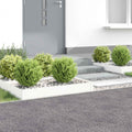 vidaXL Krawężnik do trawnika 4 szt. 100 x 60 x 20 cm Stal Biały