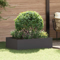 vidaXL Krawężnik do trawnika 100 x 60 x 35 cm Stal Czarny