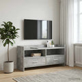 vidaXL Szafka pod telewizor 100 x 33 x 47 cm Betonowy szary