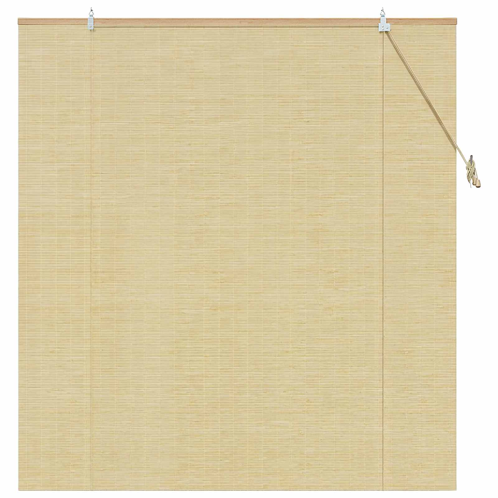 vidaXL Roleta naturalny 160 x 160 cm Bambus