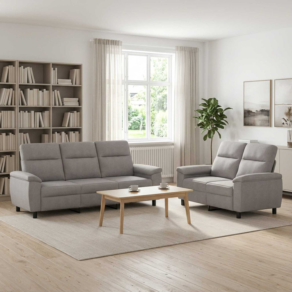 vidaXL Zestaw Sof 2 pcs Szary chmur tkanina