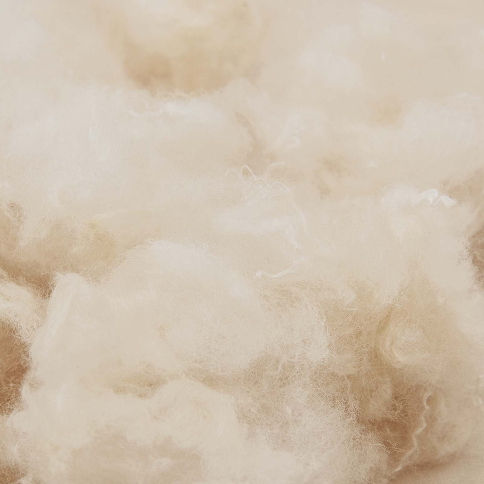 vidaXL Zestaw kołder 2 szt. 240 x 220 cm Na wszystkie sezony Beżowy