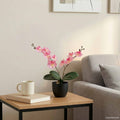 vidaXL Sztuczna Roślina Orchidei różowy 36 x 10 x 30 cm