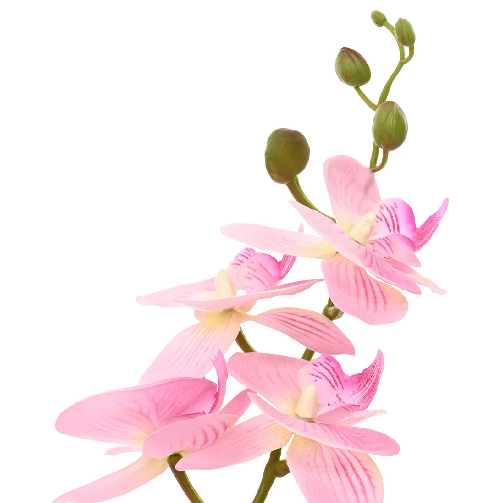vidaXL Sztuczny kwiat orchidei w doniczce różowy 45 x 15 x 65 cm