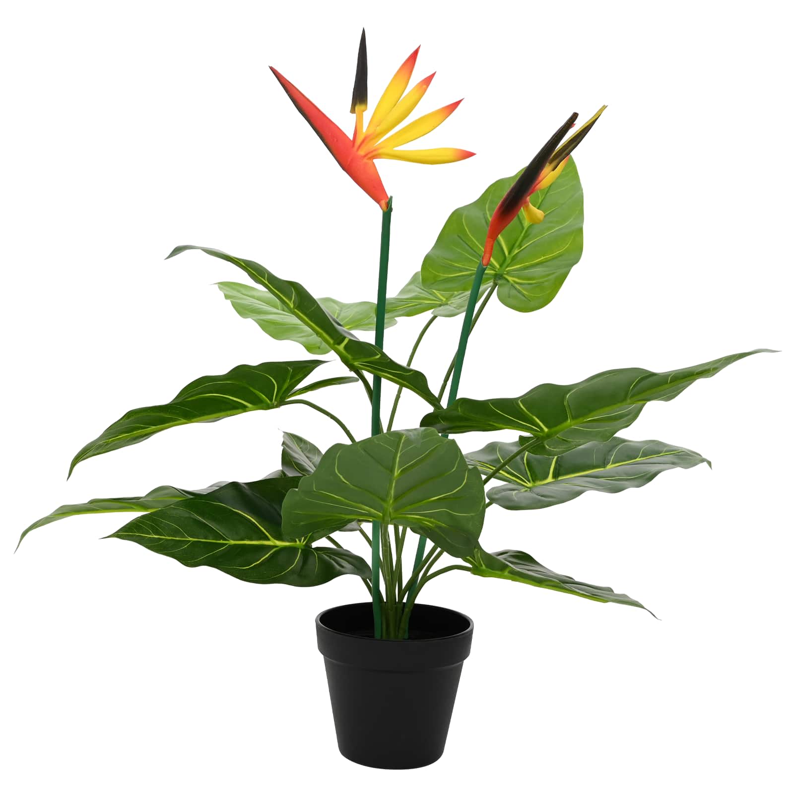 vidaXL Sztuczna roślina Strelitzia zielony 65 x 13 x 55 cm
