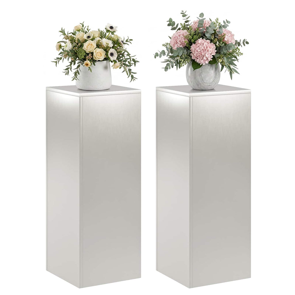 vidaXL Stojak na rośliny 2 pcs srebrny 30 x 30 x 80 cm Stal