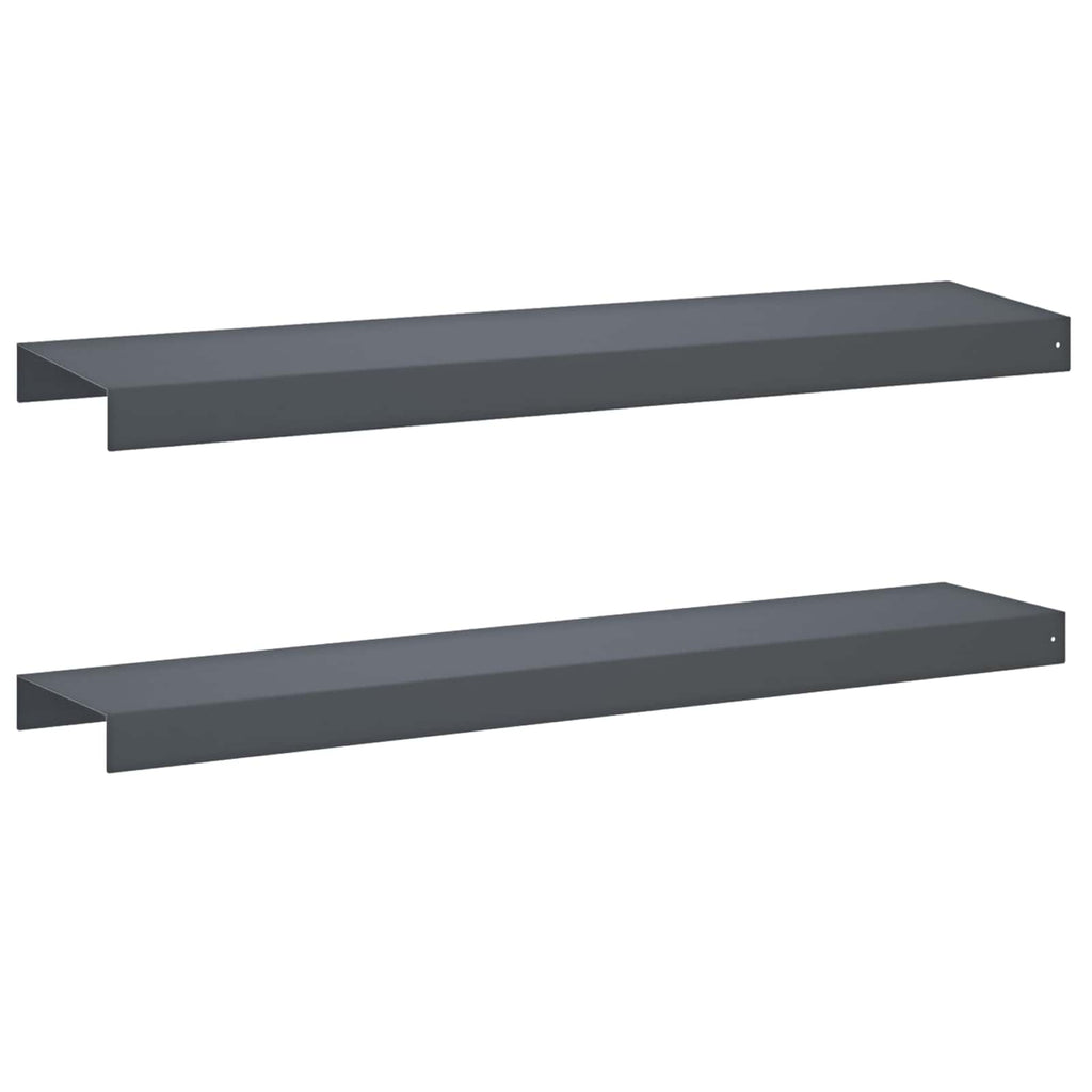 vidaXL Profil nakładkowy ogrodowy 2 szt. 100 x 20 x 5 cm Stal