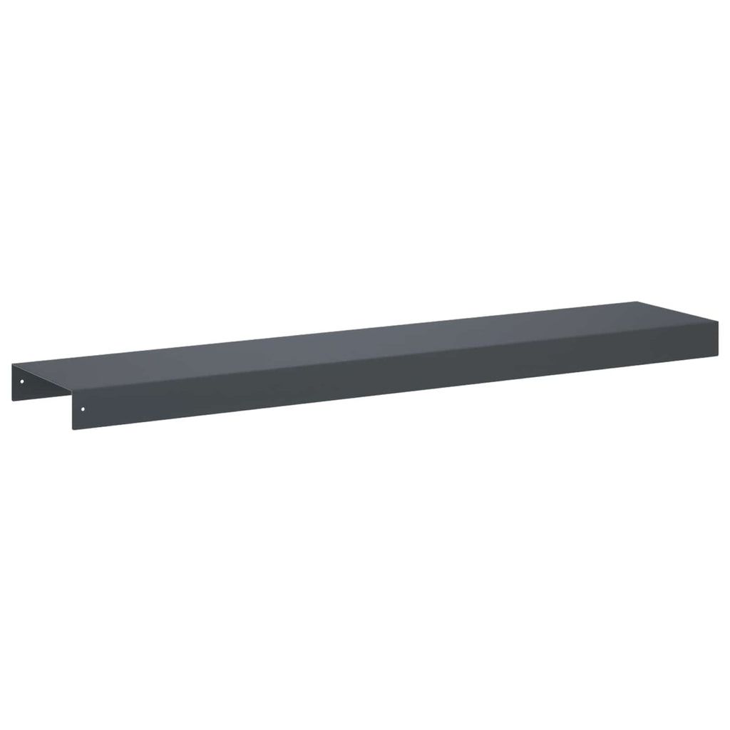 vidaXL Profil nakładkowy ogrodowy 10 szt. 100 x 20 x 5 cm Stal