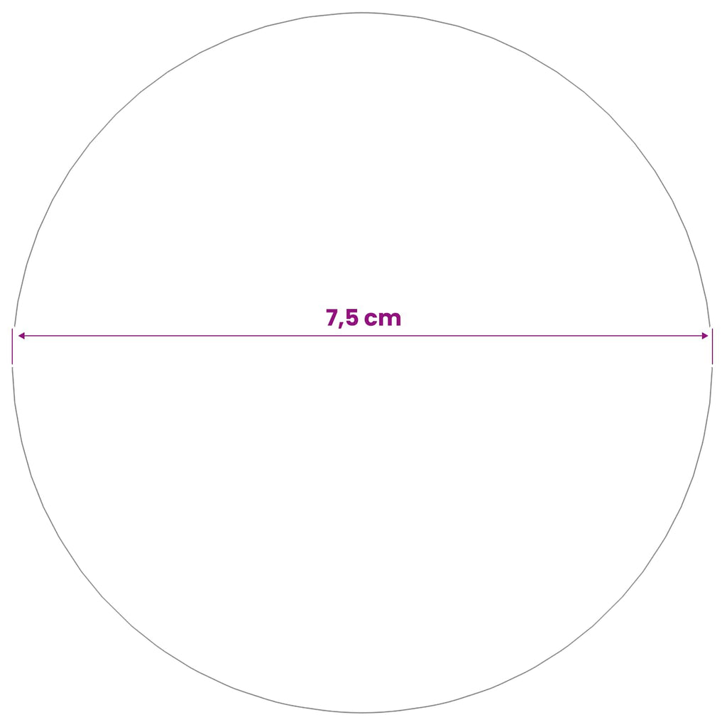 vidaXL Szczotkowana Piłka 6 szt. Ø 7,5 cm srebrny Stal nierdzewna 201