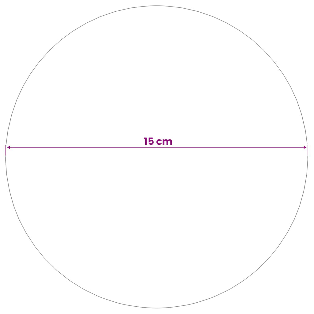 vidaXL Szczotkowana Piłka 2 szt. Ø 15 cm srebrny Stal nierdzewna 201