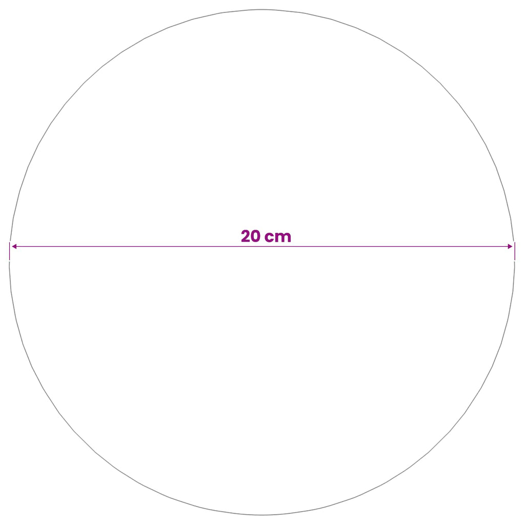 vidaXL Piłka Szczotkowana Ø 20 cm srebrny Stal nierdzewna 201