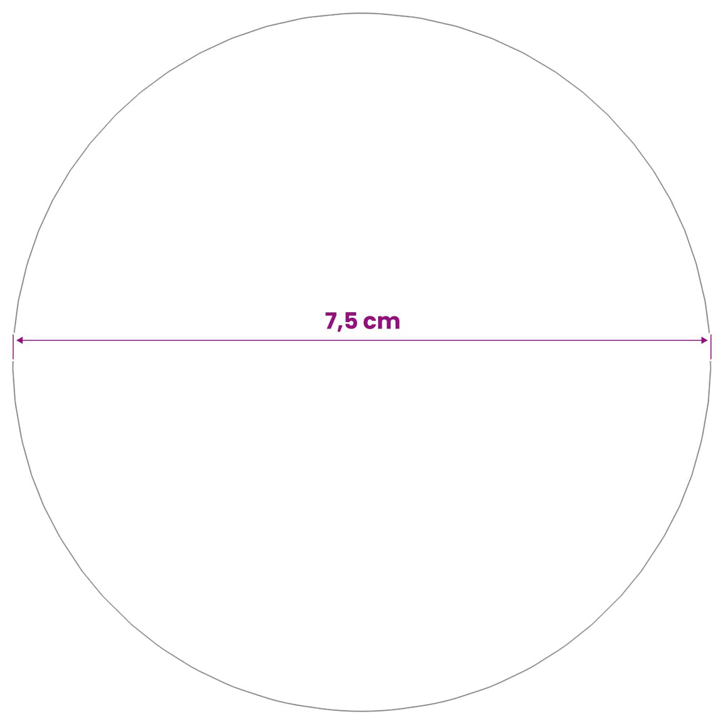 vidaXL Kula lustro 6 szt. Ø 7,5 cm srebrny Stal nierdzewna 201