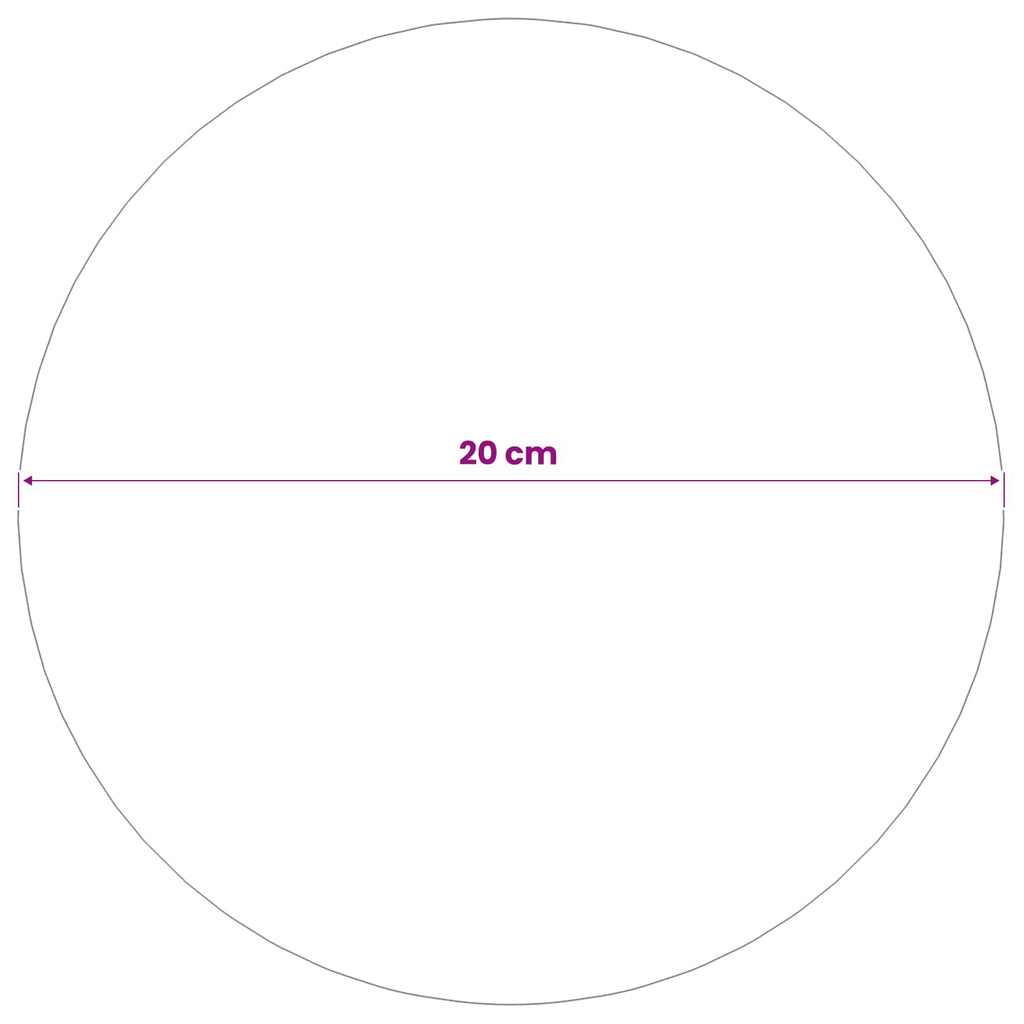 vidaXL Kula lustro Ø 20 cm srebrny Stal nierdzewna 201
