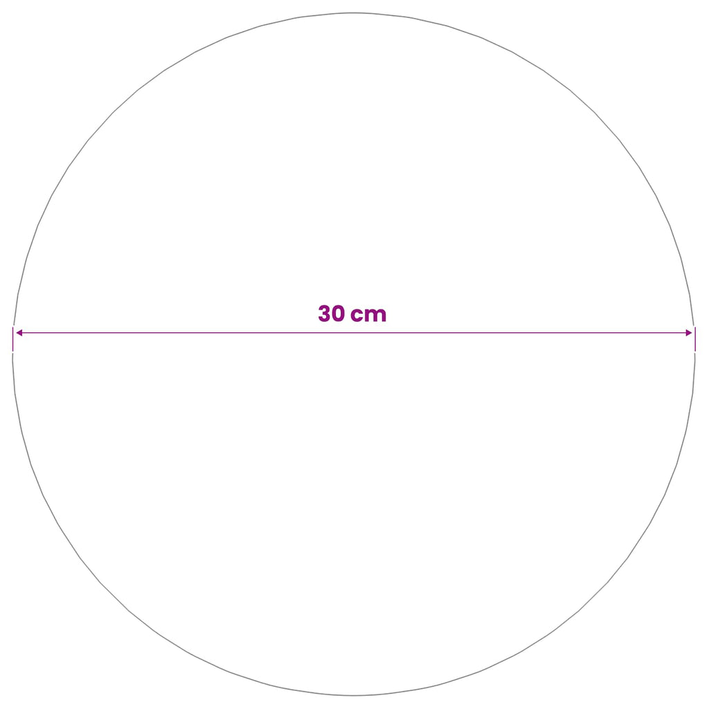 vidaXL Kula lustro Ø 30 cm srebrny Stal nierdzewna 201