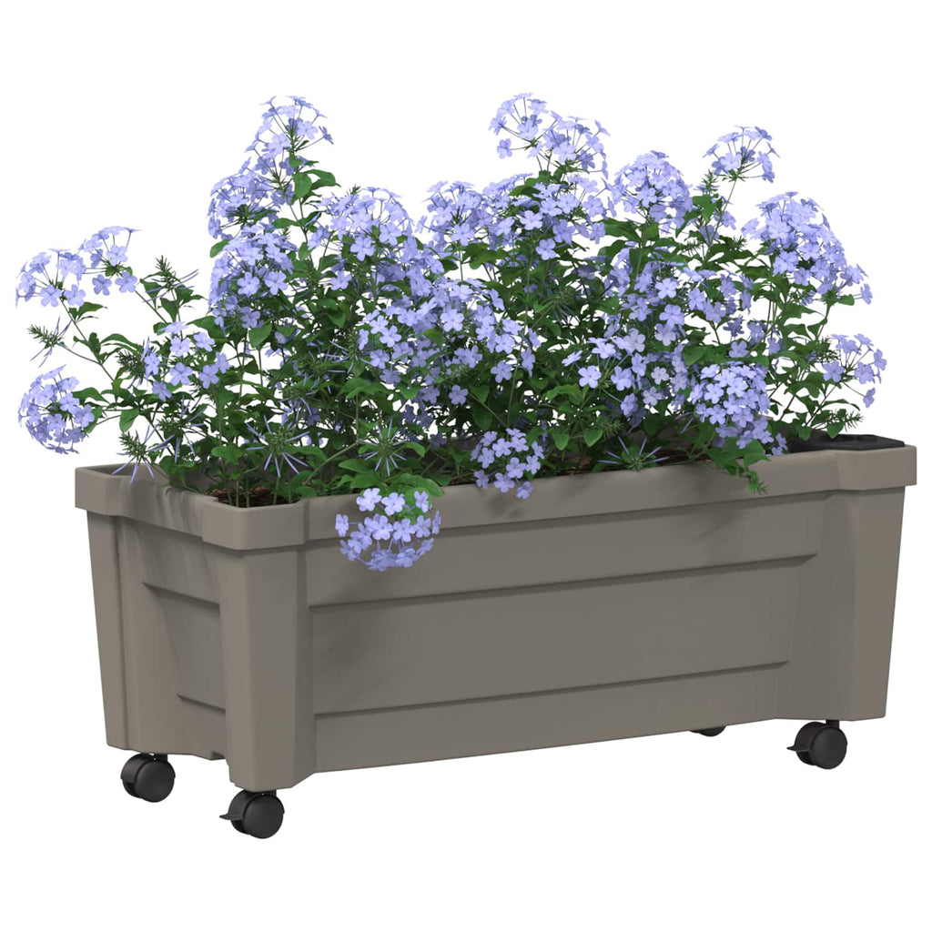 vidaXL Donica Calypso z kółkami Szary 79 x 35 x 33 cm PP