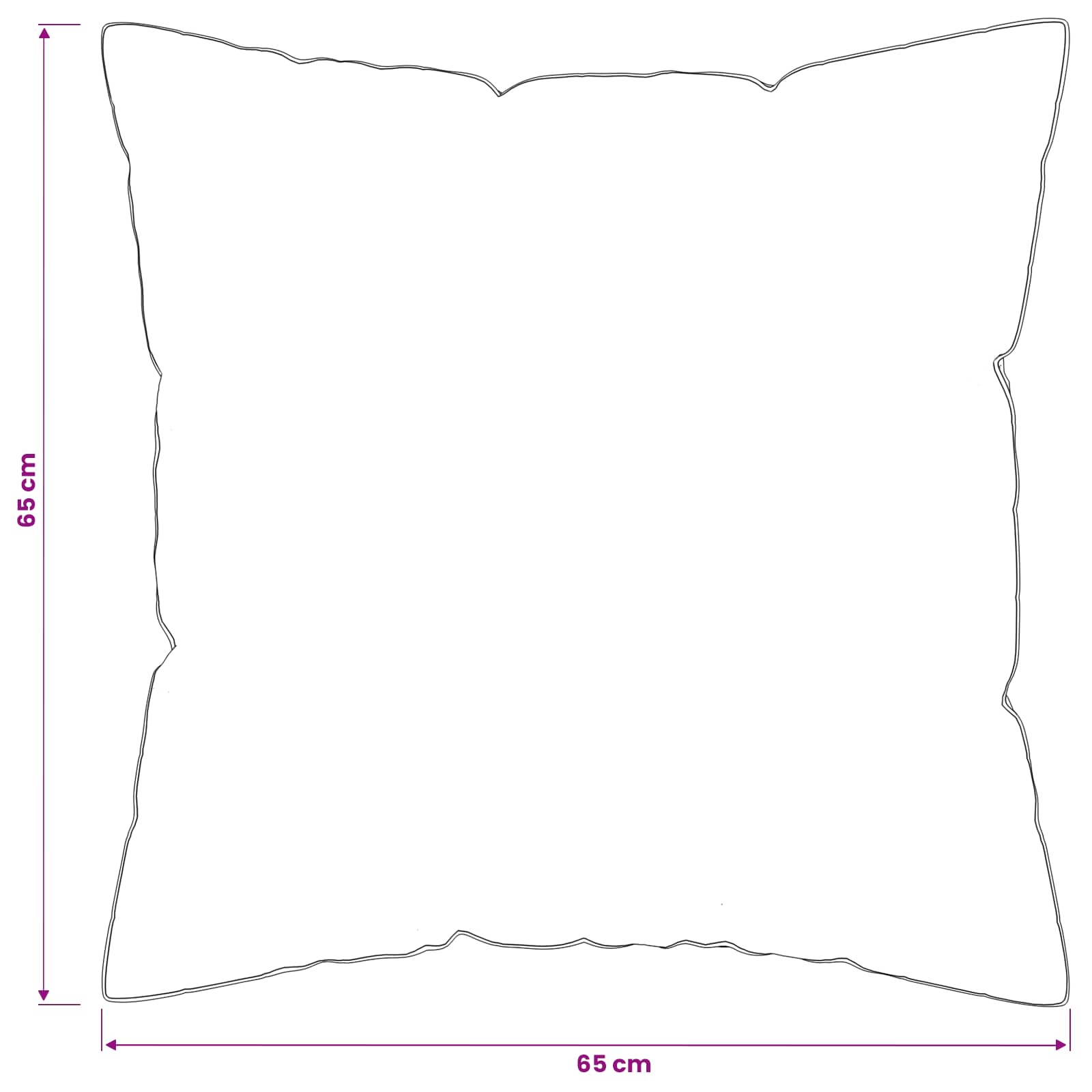 vidaXL Poduszka FULDA 2 pcs 65 x 65 cm 100% puch i pierze gęsie Biały
