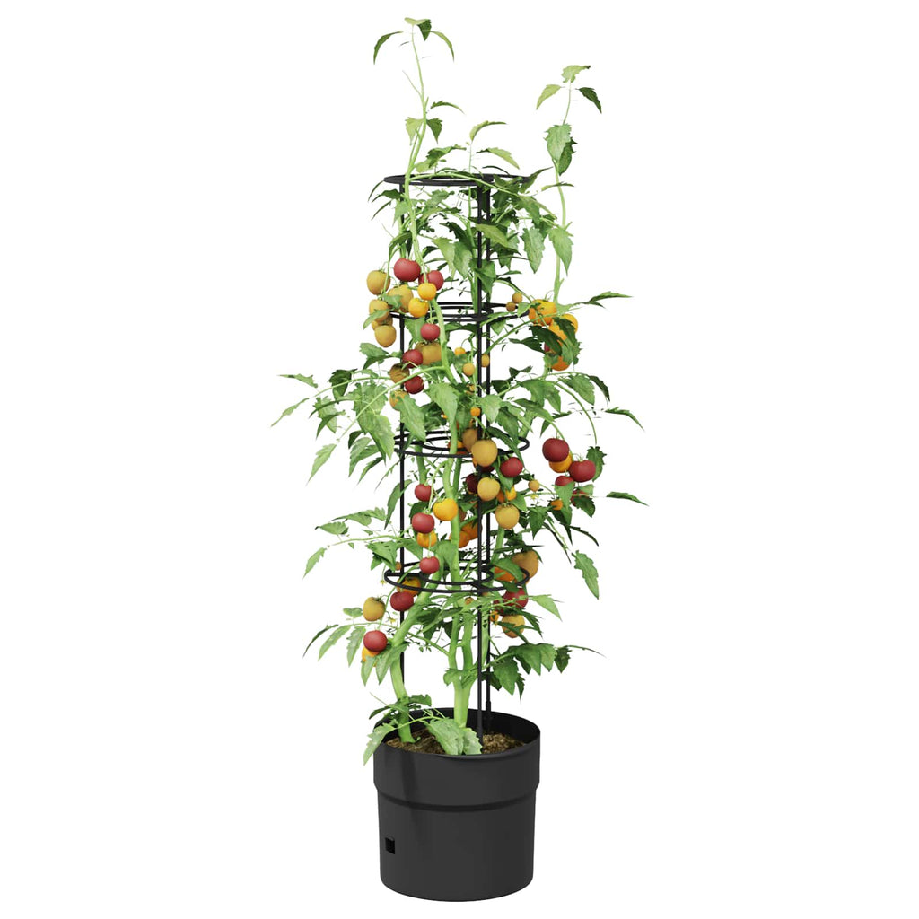 vidaXL Hodowca pomidorów Czarny Ø 32 x 127 cm PP