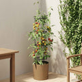 vidaXL Uprawa pomidorów Naturo ECO Ø 39 x 139 cm WPC