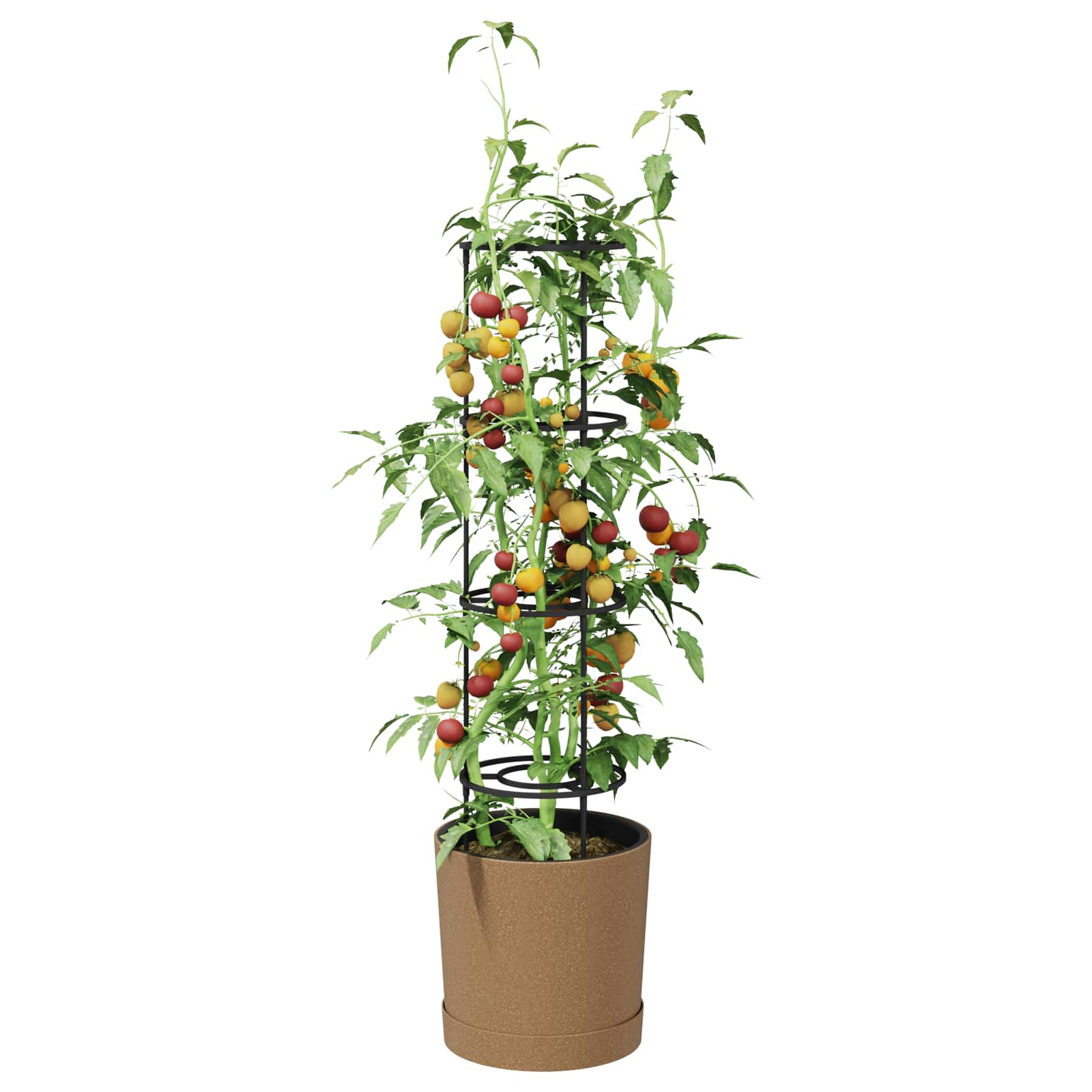 vidaXL Uprawa pomidorów Naturo ECO Ø 39 x 139 cm WPC