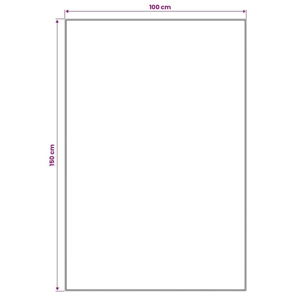 vidaXL Chodnik dywanowy LESAKA kolorowy 100 x 150 cm