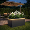 vidaXL Donica ogrodowa z oświetleniem LED Antracyt 50 x 80 x 48 cm