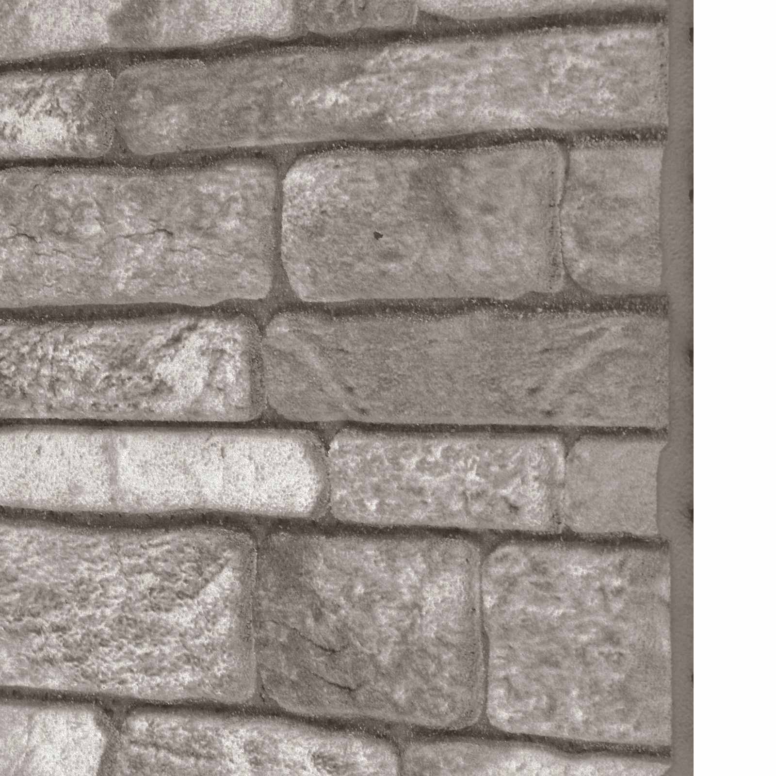 vidaXL Panele ścienne 10 pcs ciemnoszary 100 x 50 cm Pianka EPS