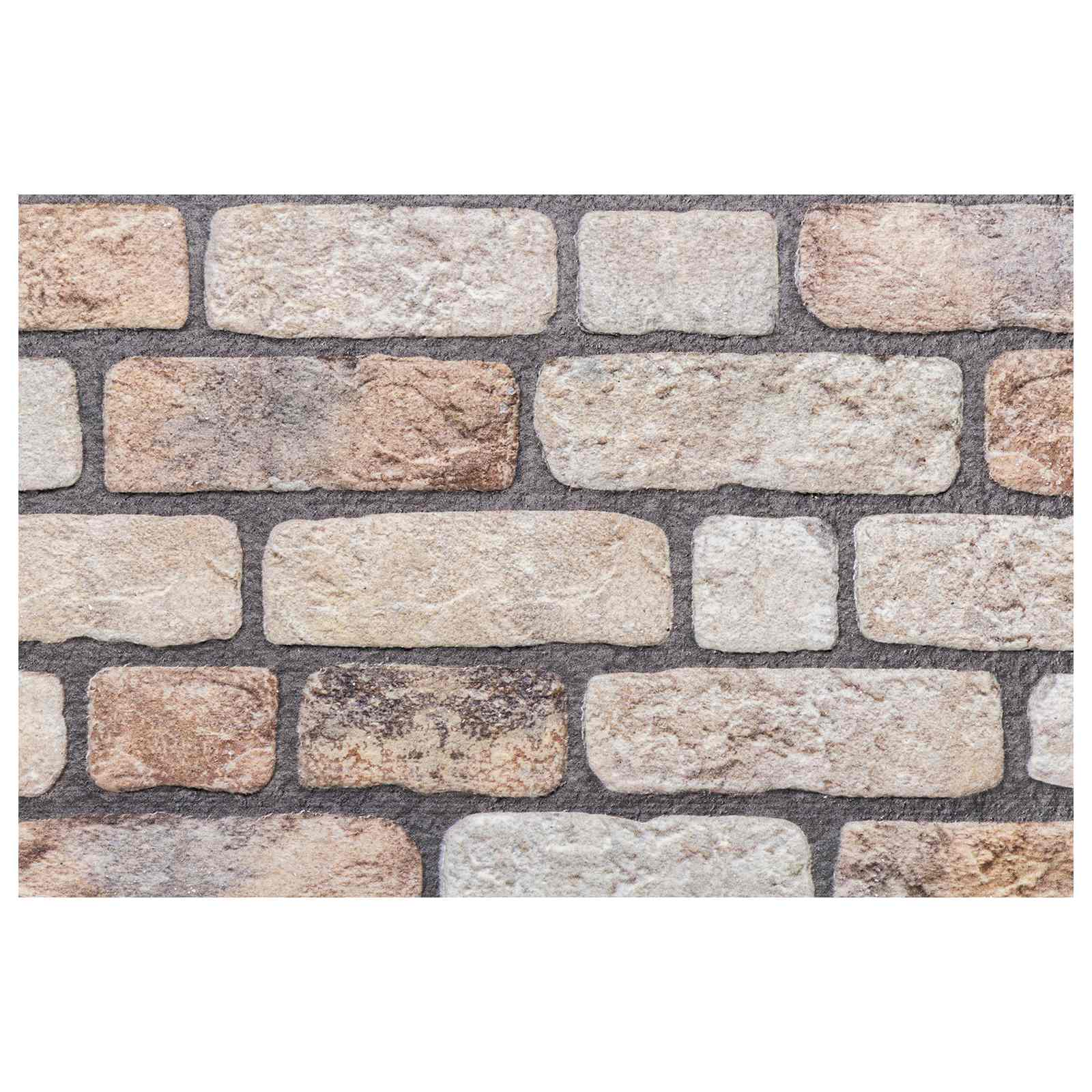 vidaXL Panele ścienne 10 pcs Jasny Brąz 100 x 50 cm Pianka EPS