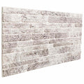vidaXL Panele ścienne 10 pcs Jasnoszary i biały. 100 x 50 cm