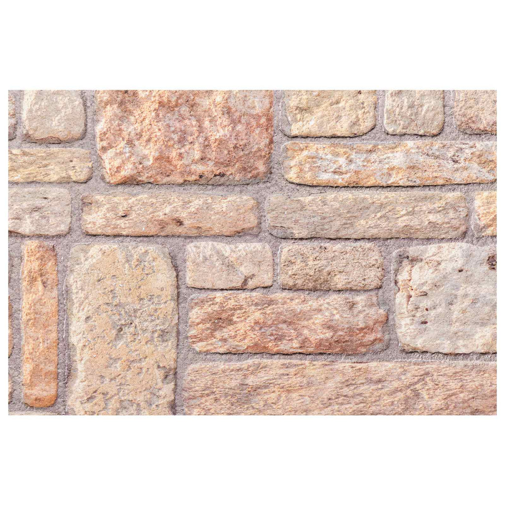 vidaXL Panele ścienne 10 pcs Jasnobrązowy i biały 100 x 50 cm