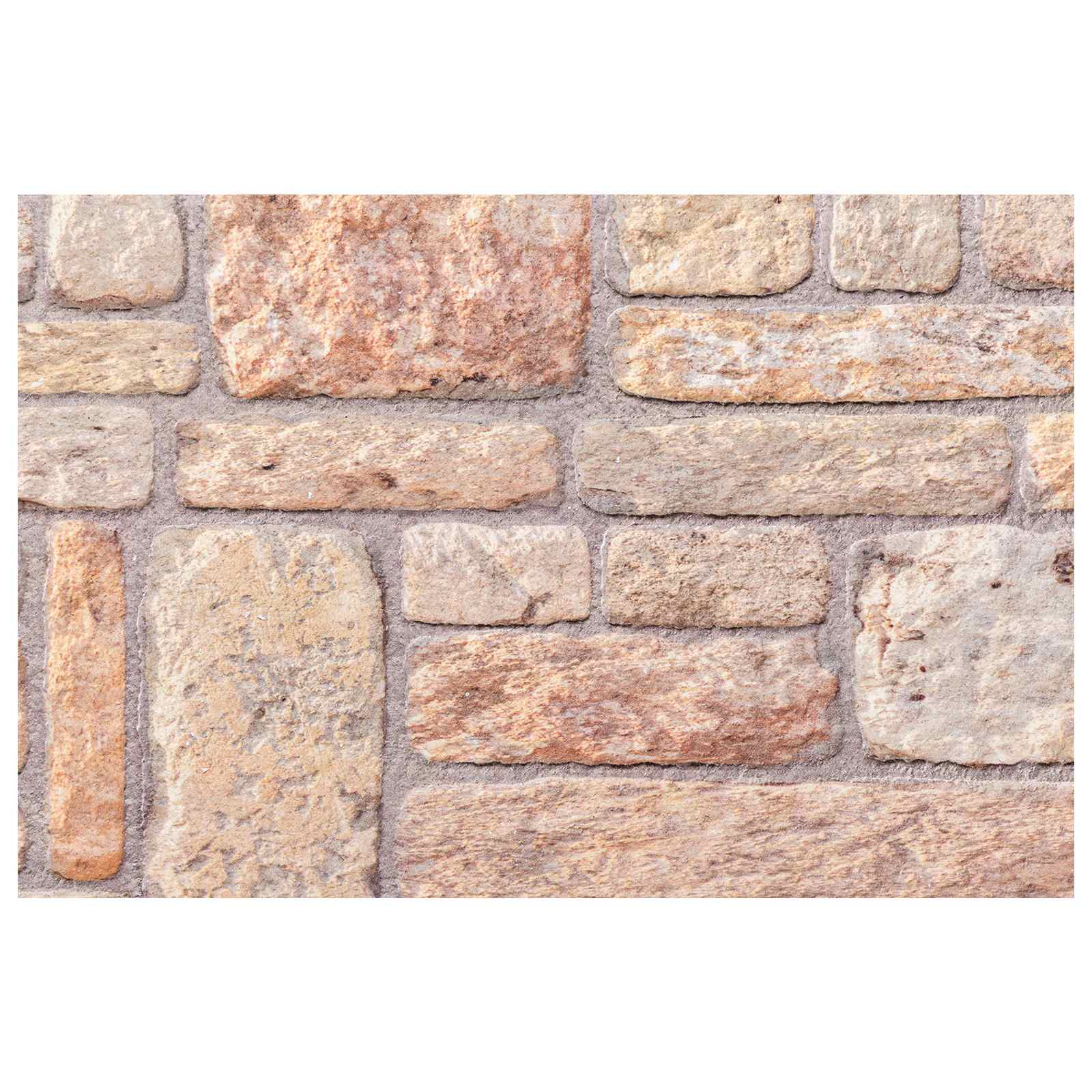 vidaXL Panele ścienne 10 pcs Jasnobrązowy i biały 100 x 50 cm