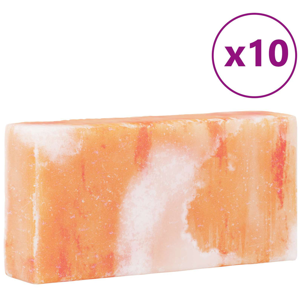 vidaXL Kamienie Solne 10 pcs różowy 20 x 10 x 5 cm Sól kamienna