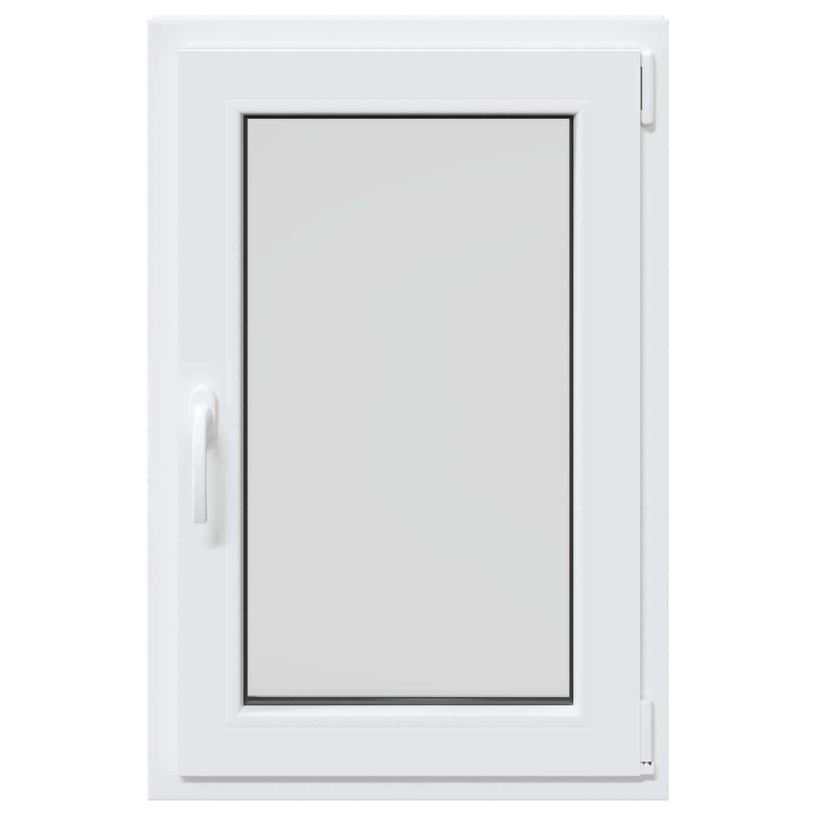 vidaXL Biała wewnętrzna kolor okna piwnicznego RISOR 50 x 100 cm