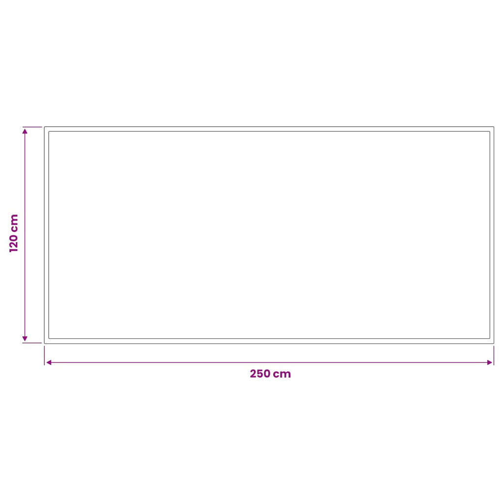 vidaXL Dywanik wejściowy jasnoszary 250 x 120 cm 100% poliamid