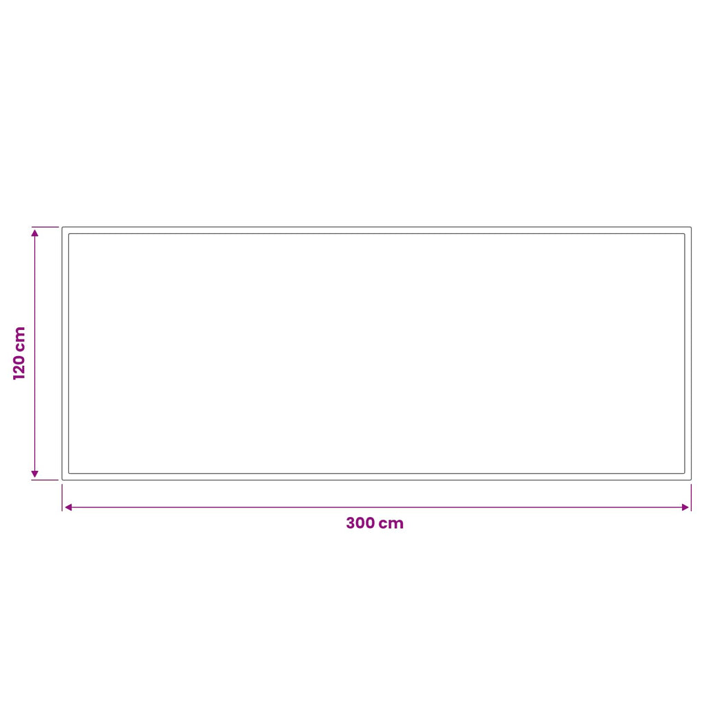 vidaXL Dywanik wejściowy jasnoszary 300 x 120 cm 100% poliamid