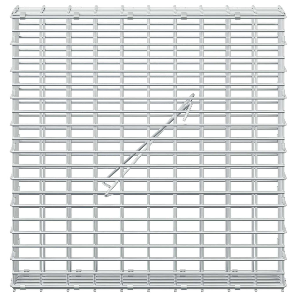 vidaXL Gabion z drutu 3,5 mm i siatką 5x2,5 cm 50x10x50 cm
