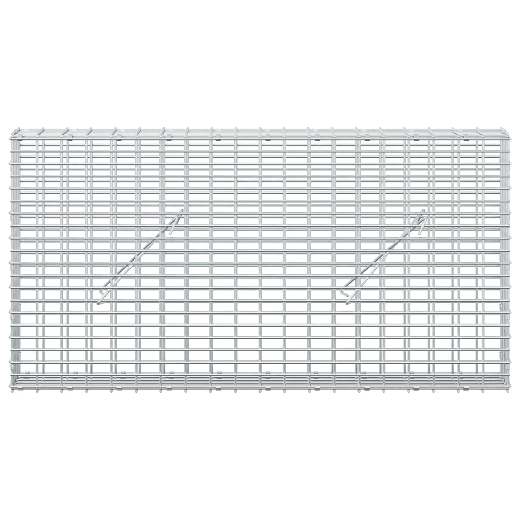 vidaXL Gabion z drutu 3,5 mm i siatką 5x2,5 cm 100x10x50 cm
