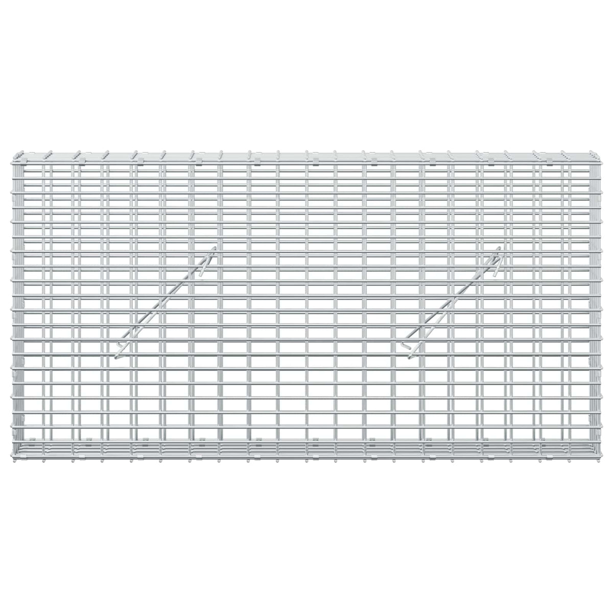 vidaXL Gabion z drutu 3,5 mm i siatką 5x2,5 cm 100x10x50 cm