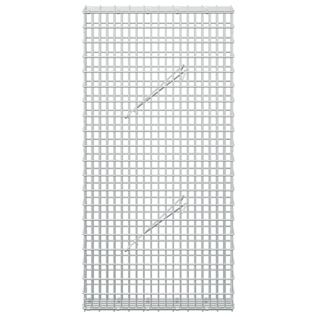 vidaXL Gabion z drutu 3,5 mm i siatką 5x2,5 cm 50x10x100 cm
