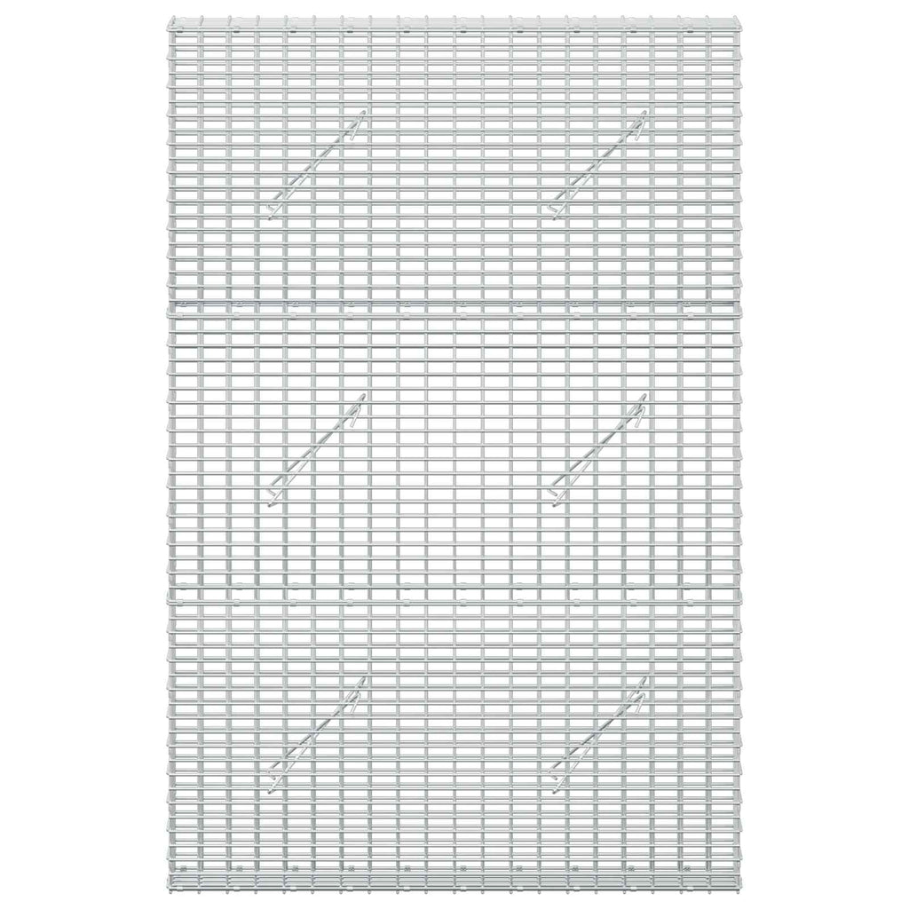 vidaXL Gabion z drutu 3,5 mm i siatką 5x2,5 cm 100x10x150 cm