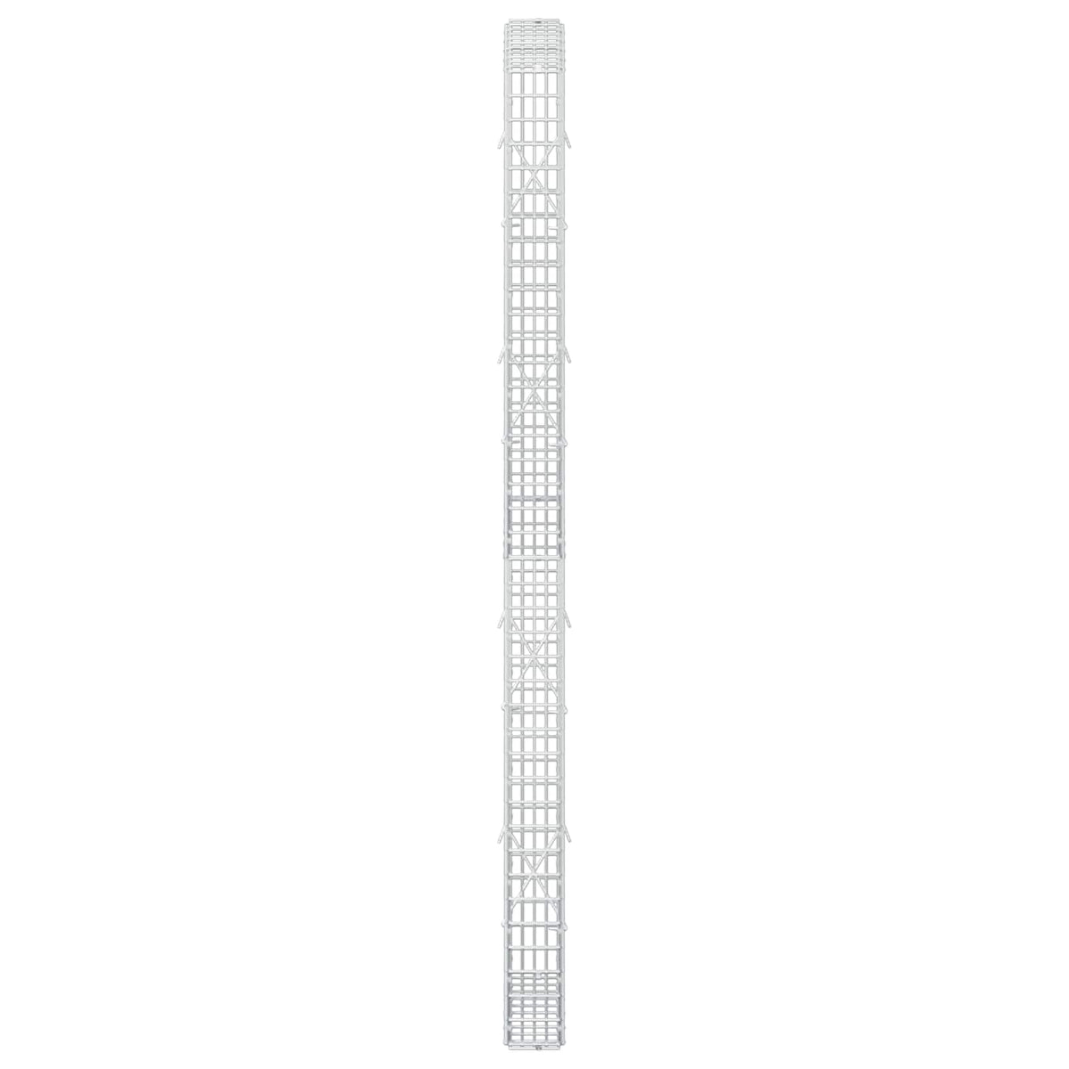 vidaXL Gabion z drutu 3,5 mm i siatką 5x2,5 cm 50x10x200 cm