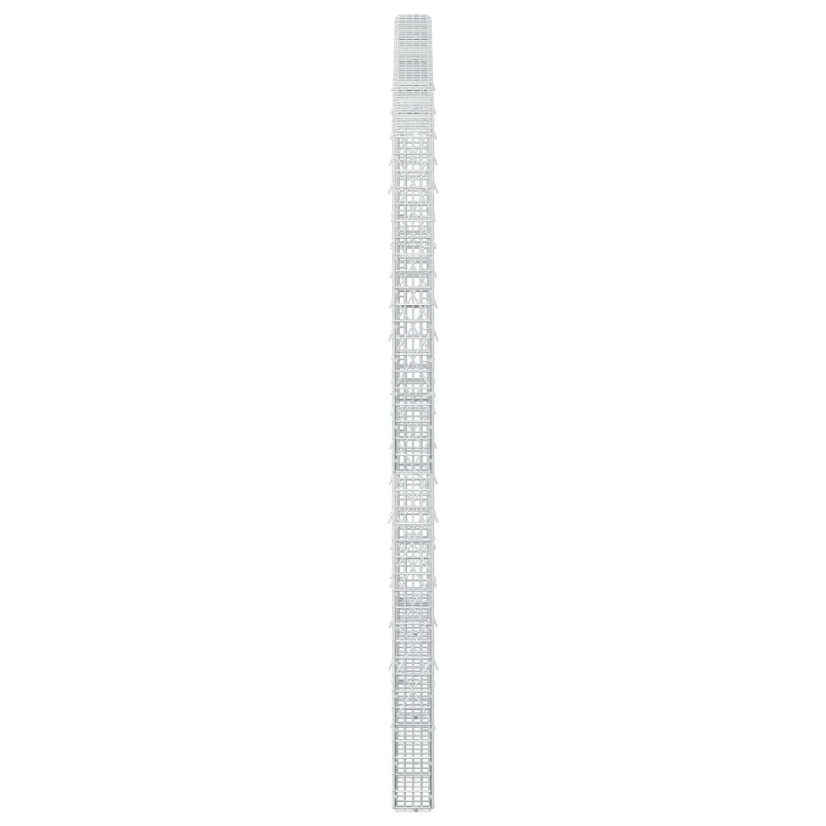 vidaXL Gabion z drutu 3,5 mm i siatką 5x2,5 cm 250x10x200 cm