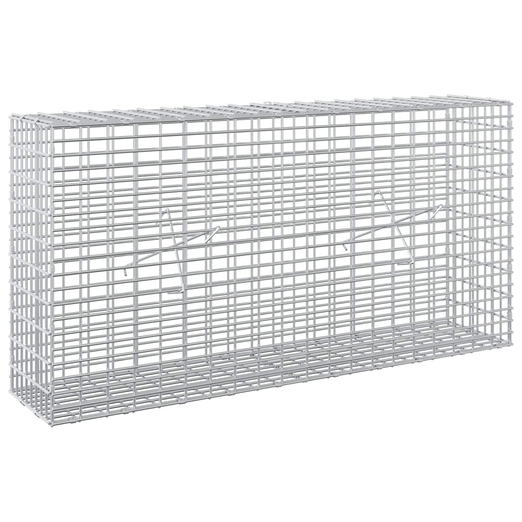 vidaXL Gabion z drutu 3,5 mm i siatką 5x2,5 cm 100x20x50 cm