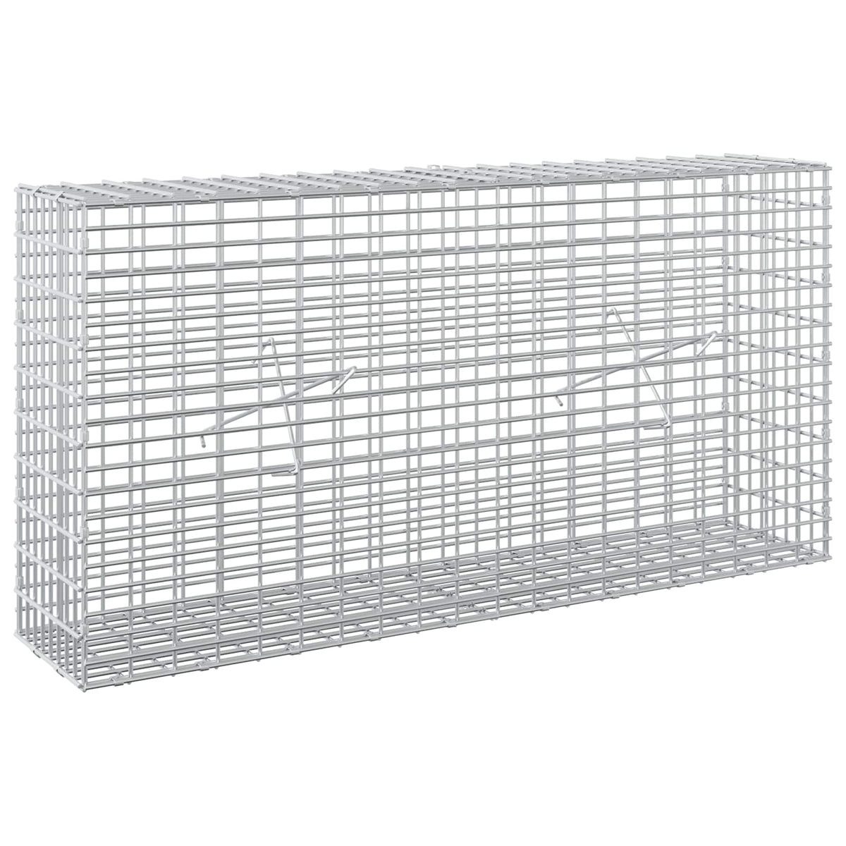 vidaXL Gabion z drutu 3,5 mm i siatką 5x2,5 cm 100x20x50 cm
